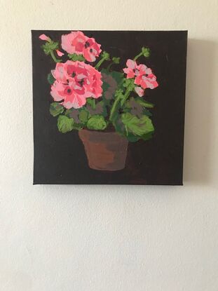 A terracotta pot sits in the centre of frame and in it is a pink geranium plant with big clusters of blooms sitting above scalloped edge mid green leaves, the background is a deep brown.black