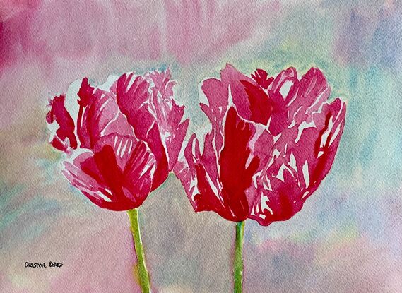 An artwork showing a pink tulips.