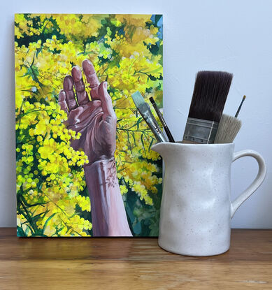 Human hand in vibrant golden yellow wattle blooming