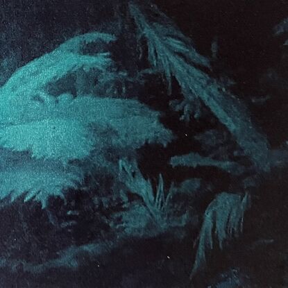 Printmaking on paper, dark black and deep emerald green, rich surface including transparency. Underwater ferns. Photographic etching. Nature print.