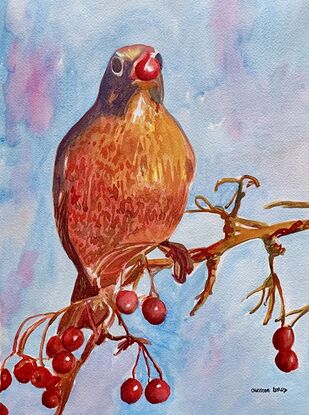 An artwork showing an American Robin.