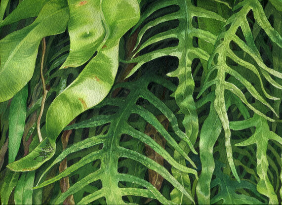 A wall of fern fronds.