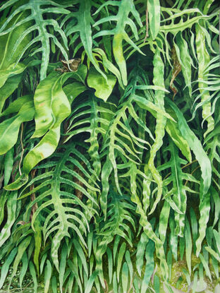 A wall of fern fronds.