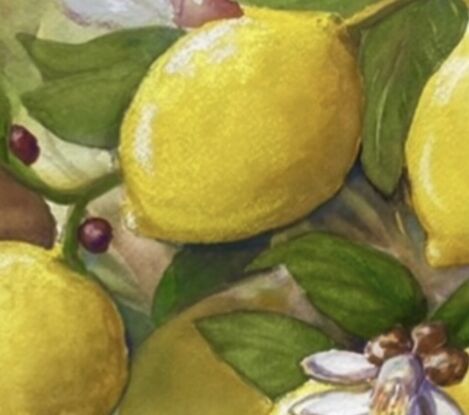 Lemons, green  leaves close up 