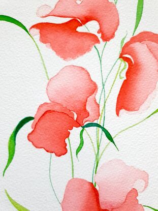 sweet pea flowers in soft pink orange, set in beige matt