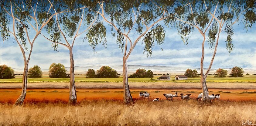 Australian farm landscape with sheep on the road