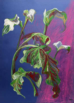 Lily showing flowers and foliage on a blue background with vibran pink, white and green colours. Orginal artwork. This is not a copy or a print. 