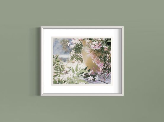 A vintage yellow ceramic jug is mostly in the right-hand half of the frame. It is side on with the lip facing inwards. It is outside but on a floor of old broken bathroom tiles. The background is out of focus but indicates a body of water and bush beyond. The jug is overflowing with jasmine. It spills out and falls all around. There is a lot of jasmine foliage with new bright buds in the middle and foreground of the left side of frame. The colours of the image are desaturated, except for the pinks of the jasmine stamen and the yellow jug.