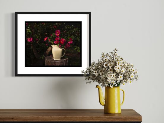 A generally dark image of dark green foliage and shadows, with yellow and rouge highlights. A log stands on its end underneath a camellia tree. A vintage yellow ceramic jug is on top of the log. Bright rouge camellias are bursting out of the jug, but it's impossible to know if they form part of the tree or have been cut and placed in the jug. One other camellia is at the left of frame, clearly part of the tree. Other buds can be spotted as small amounts of colour popping through the dark green foliage.
