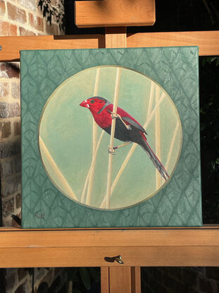 A small red bird (Crimson Finch) balancing on a reed, seen through a circle with a repeating leaf pattern between the circle and it's square frame.