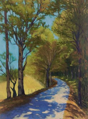 A country road with dappled shade,  lined with leafy green trees disappearing into  the distance.
