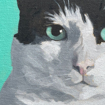 The bust and paws of a black and white cat, looking directly at the viewer, the background matching it's mint-green eyes.