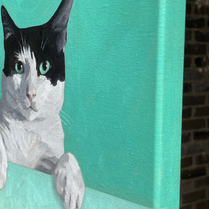 The bust and paws of a black and white cat, looking directly at the viewer, the background matching it's mint-green eyes.