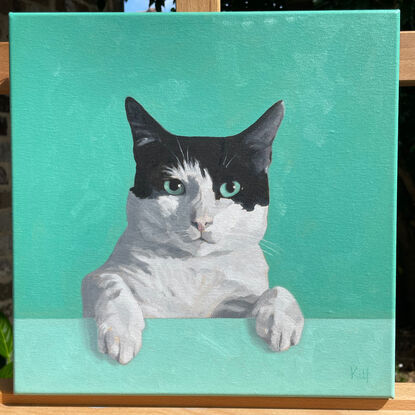 The bust and paws of a black and white cat, looking directly at the viewer, the background matching it's mint-green eyes.