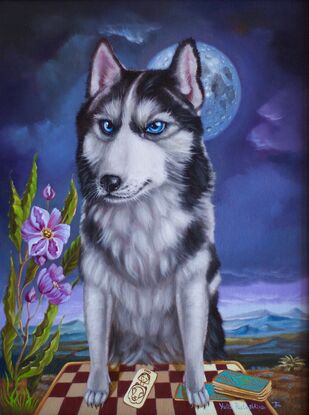 Husky dog with tarot cards