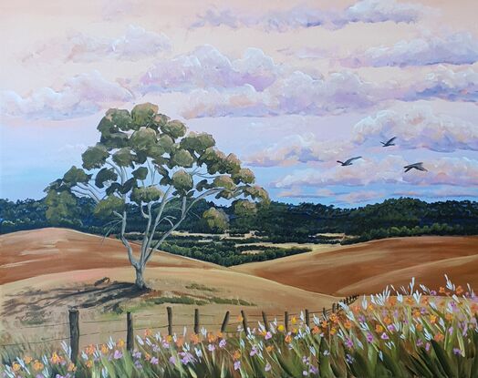 rolling hills, gum trees, farm fences and wildflowers on sunset