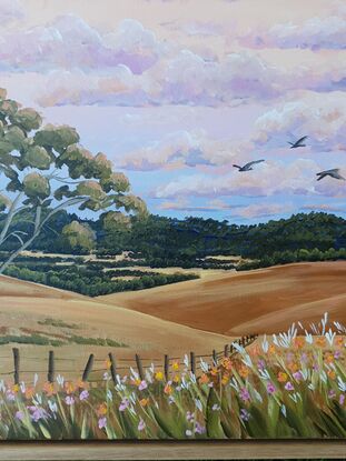 rolling hills, gum trees, farm fences and wildflowers on sunset