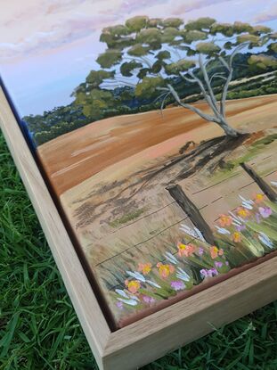 rolling hills, gum trees, farm fences and wildflowers on sunset