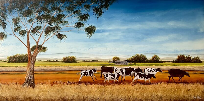 Australian farm landscape with sheep on the road