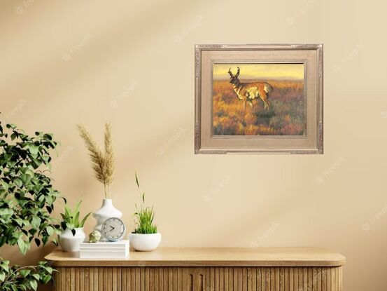 Pronghorn standing in a prairie scene.