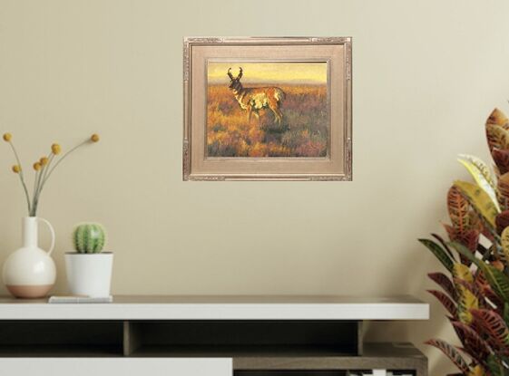 Pronghorn standing in a prairie scene.