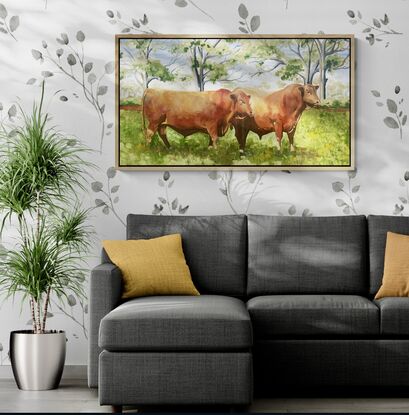 Two red angus bulls in a field.