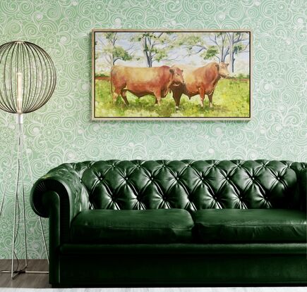 Two red angus bulls in a field.