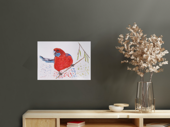 a wonderful specimen of the native Crimson Rosella looking at us whilst enjoying his morning meal up in the Blue Mountains.