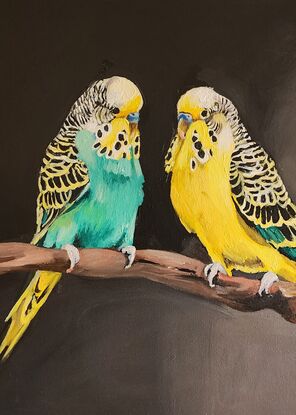 Two budgerigars sitting on a branch.