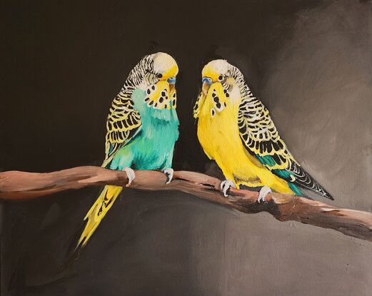 Two budgerigars sitting on a branch.