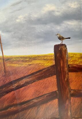 Rusty Windmill in  Australian outback and grass bird