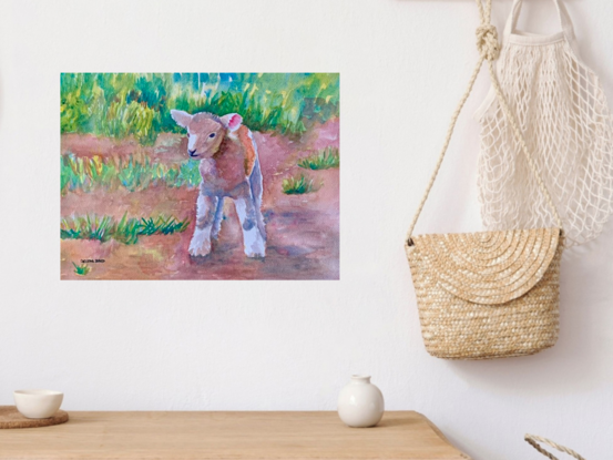  artwork showing a newborn lamb

