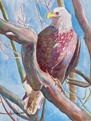  artwork showing a bald eagle standing on a branch
