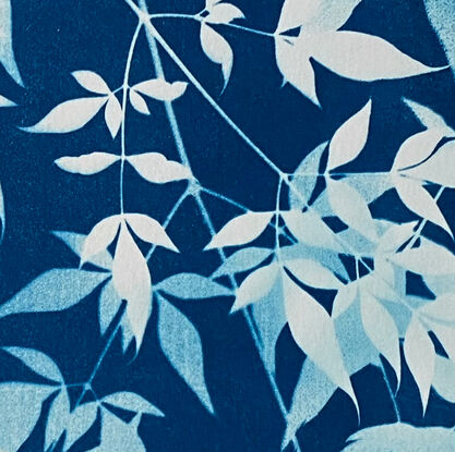 Image of branches of privet leaves in varying shades of blue. It is technically a photo but has the texture of a painting.