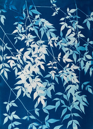 Image of branches of privet leaves in varying shades of blue. It is technically a photo but has the texture of a painting.