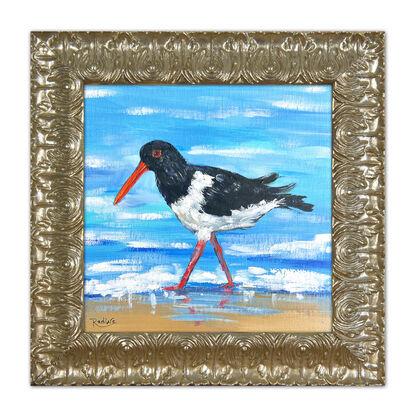 Oystercatcher bird original painting by Irina Redine.  Australian Pied Oystercatcher small artwork framed and ready to hang, gift idea