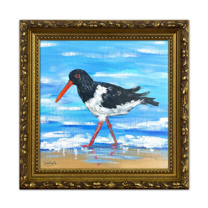 Oystercatcher bird original painting by Irina Redine.  Australian Pied Oystercatcher small artwork framed and ready to hang, gift idea