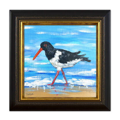 Oystercatcher bird original painting by Irina Redine.  Australian Pied Oystercatcher small artwork framed and ready to hang, gift idea