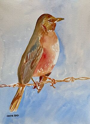  artwork showing an American Robin