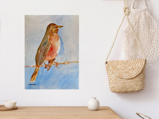  artwork showing an American Robin