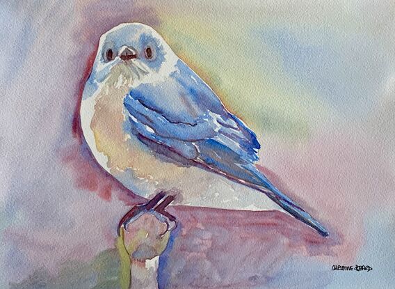  artwork showing a Bluebird
