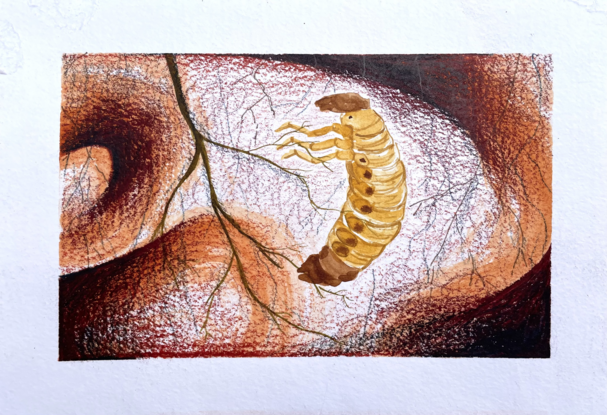 A fat grub sitting beneath swirling earth, next to a string of roots coming down from a plant.