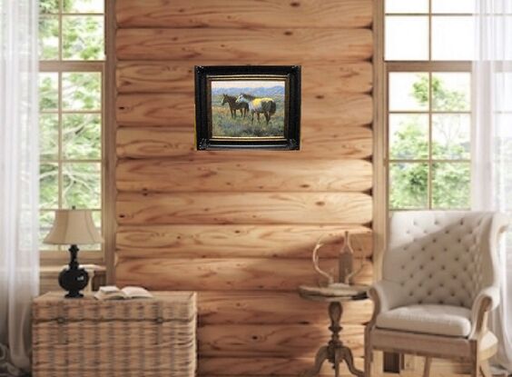 Two horses standing on the open range.