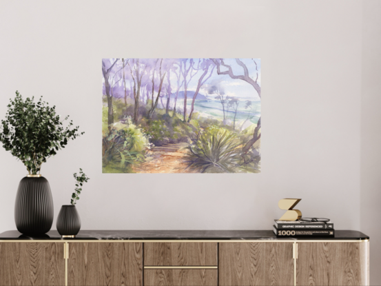 Bush track with tall trees and view to beach