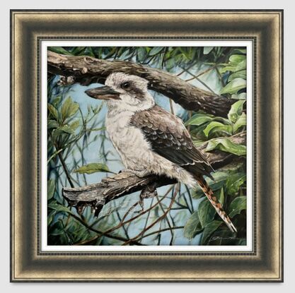 The Kookaburra takes a rest on a broken branch.