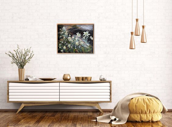 Flannel flowers in a bush setting, dark rocks in a box frame