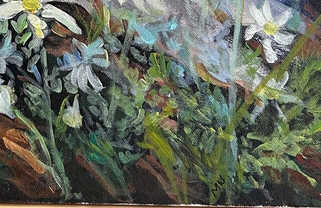 Flannel flowers in a bush setting, dark rocks in a box frame