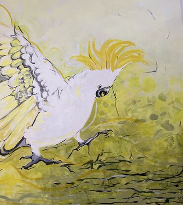 A flying cockatoo about to land in a yellow field.