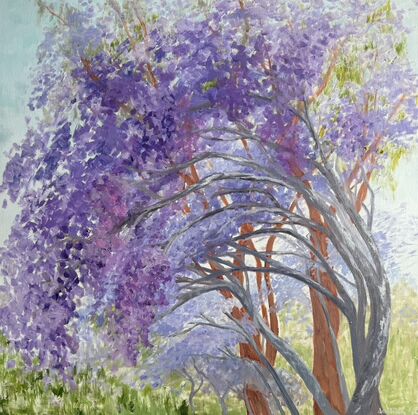 arching flowering jacarandas and gumtrees with dappled light
