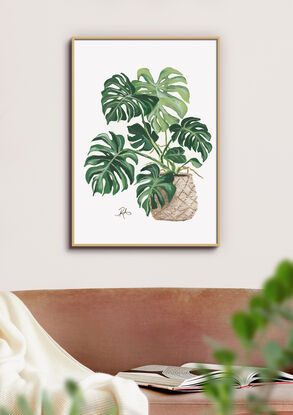 Realistic acrylic painting of an established indoor monstera plant in a hessian basket. White background.